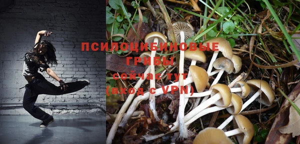 ПСИЛОЦИБИНОВЫЕ ГРИБЫ Балабаново
