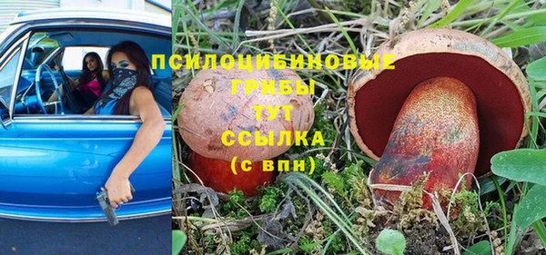 ПСИЛОЦИБИНОВЫЕ ГРИБЫ Балабаново