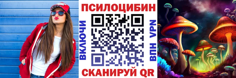 купить   Ногинск  Псилоцибиновые грибы прущие грибы 